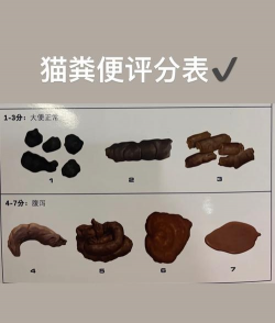 别墅园林绿化设计，打造私密空间，提升居住品质