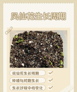 别墅园林绿化设计，打造私密空间，提升居住品质