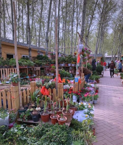 别墅园林绿化设计，打造私密空间，提升居住品质