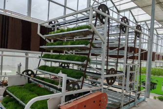 别墅园林绿化设计，打造私密空间，提升居住品质