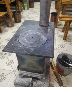 柿树虫病防治，识别常见虫害，掌握有效方法