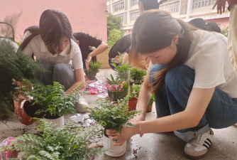 柿树虫病防治，识别常见虫害，掌握有效方法