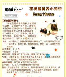 柿树虫病防治，识别常见虫害，掌握有效方法