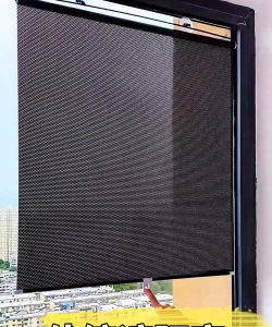 柿树虫病防治，识别常见虫害，掌握有效方法