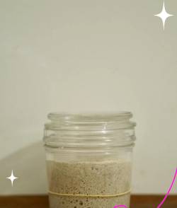 柿树虫病防治，识别常见虫害，掌握有效方法