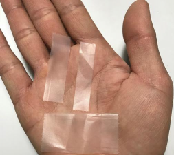 柿树虫病防治，识别常见虫害，掌握有效方法