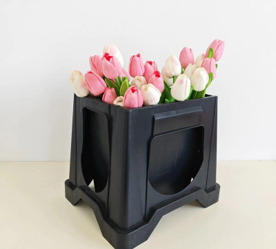 柿树虫病防治，识别常见虫害，掌握有效方法