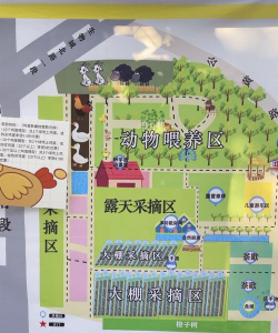 葡萄栽培，掌握关键技术，实现优质丰产