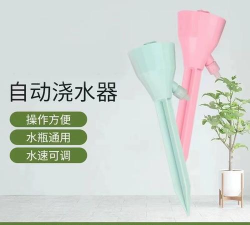 玫瑰花怎么养才不会枯萎，掌握浇水施肥技巧，轻松延长花期