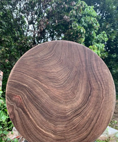 越南铁木菜板怎么养花