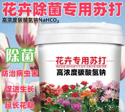 家庭养花用生根粉