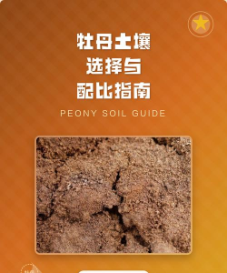 牡丹用土怎么