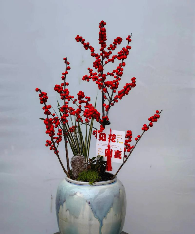 家庭养花用生根粉