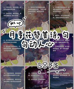 夸爰养花的人诗句