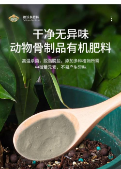 家庭养花用生根粉