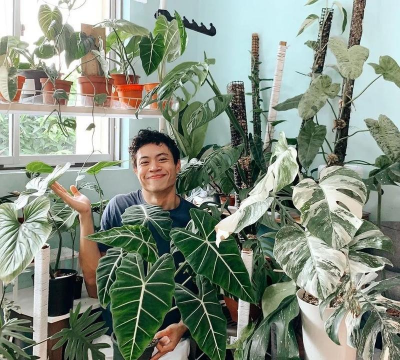 家庭养花用生根粉