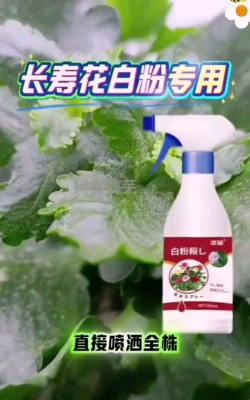 家庭养花用生根粉