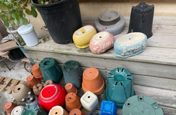 微瑕疵养花工具