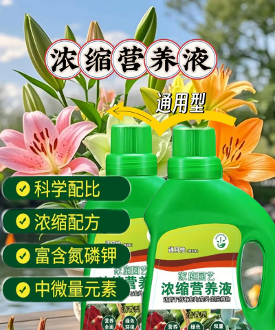 家庭养花用生根粉