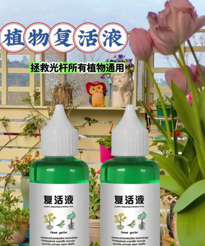 家庭养花用生根粉