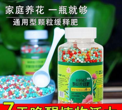 家庭养花用生根粉