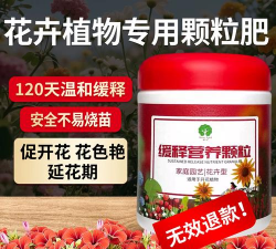 家庭养花用生根粉