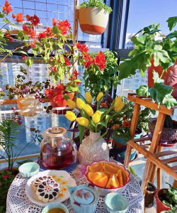 尼日利亚阳台养花