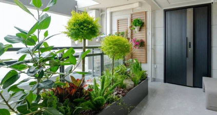 葡萄栽培，掌握关键技术，实现优质丰产