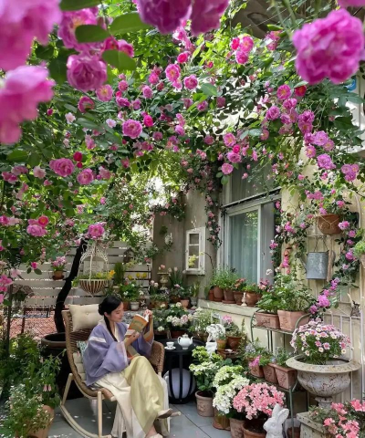 葡萄栽培，掌握关键技术，实现优质丰产