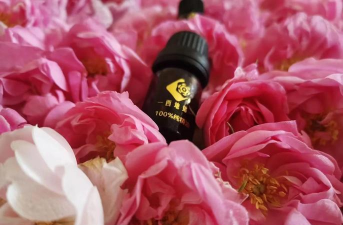 葡萄栽培，掌握关键技术，实现优质丰产