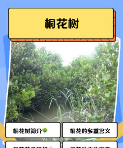 绿化景观设计，提升环境品质，创造宜人空间