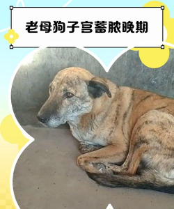 绿化景观设计，提升环境品质，创造宜人空间