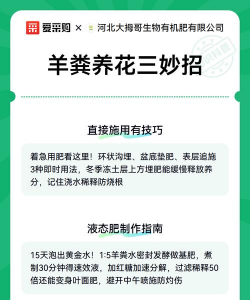 家庭养花用生根粉