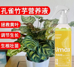 家庭养花用生根粉