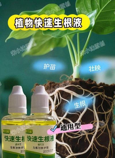 家庭养花用生根粉