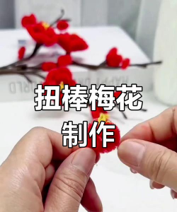 如何做梅花春季开花