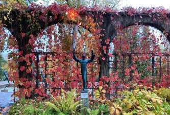 米勒的养花花园