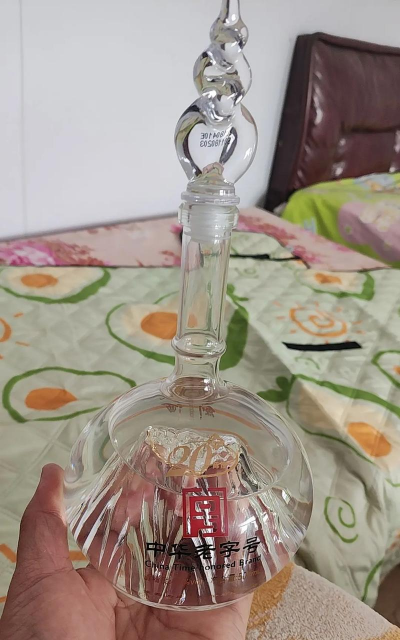 华山论剑瓶子养花