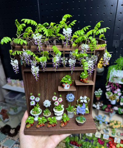 家庭养花用生根粉