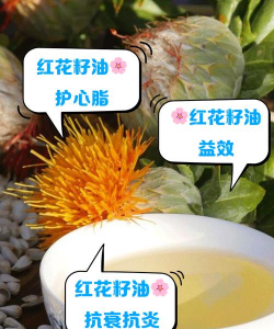 用油养花可以吗