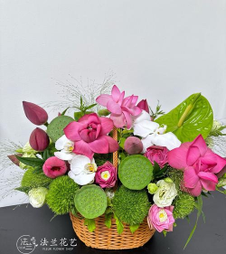 家庭养花用生根粉