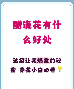 家庭养花用生根粉