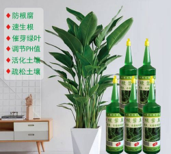 家庭养花用生根粉