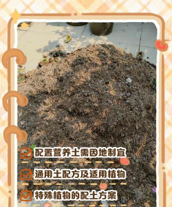 养花的泥土怎么配 养花的泥土怎么配