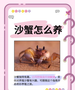 沙地池养花蟹好吗