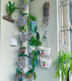 养花盆栽平替 养花盆栽平替