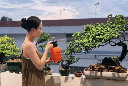 家庭养花用生根粉