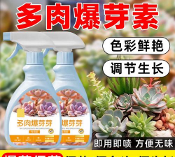 家庭养花用生根粉