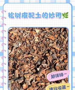 松树皮养花土配方
