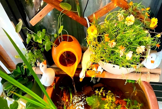 家庭养花用生根粉